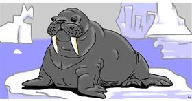 Drawing of Walrus by Swimmer
