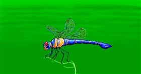 Drawing of Dragonfly by Sam