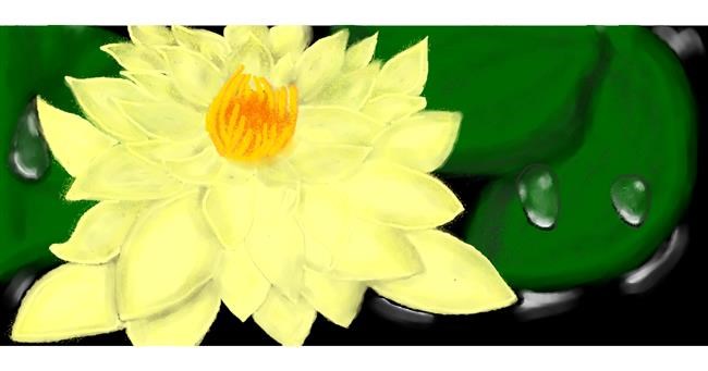 Drawing of Water lily by Debidolittle