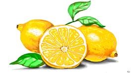 Drawing of Lemon by flowerpot
