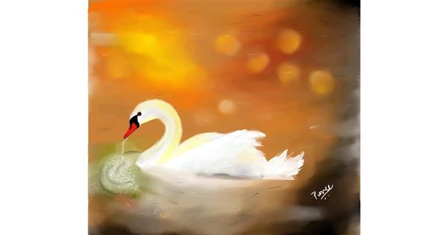 Drawing of Swan by punee