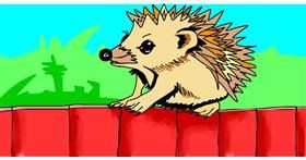 Drawing of Hedgehog by Swimmer 
