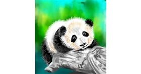 Panda - autor: ⋆su⋆vinci彡