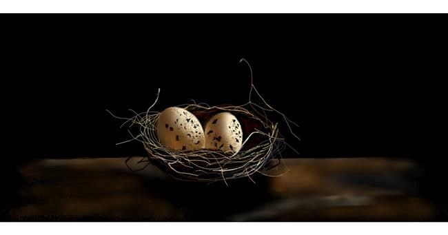 Drawing of Nest by Chaching