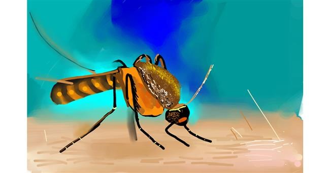 Drawing of Mosquito by Rose rocket