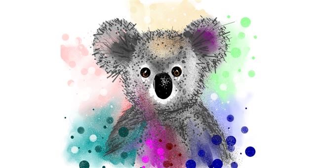 Koala - autor: Cookie