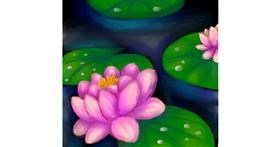 Drawing of Water lily by Bishakha