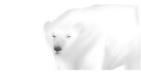 Polarni medvjed - autor: Bobcat