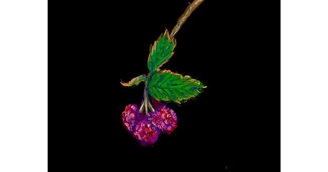 Drawing of Raspberry by Tara