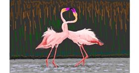 Flamingo - autor: Coyote