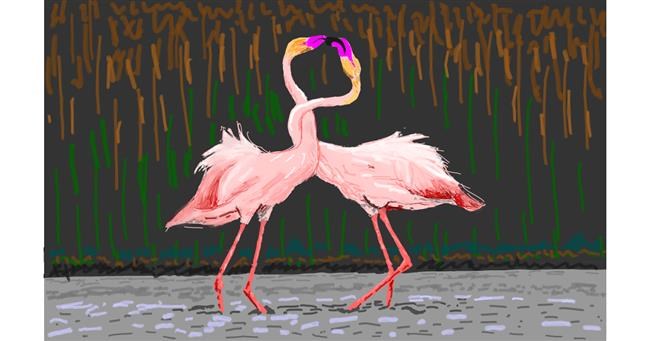 Flamingo-Zeichnung von Coyote