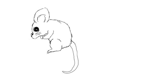 Miš - autor: bob