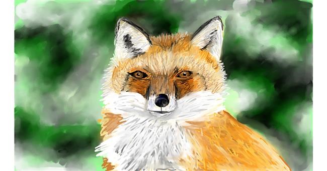 Drawing of Fox by Mia