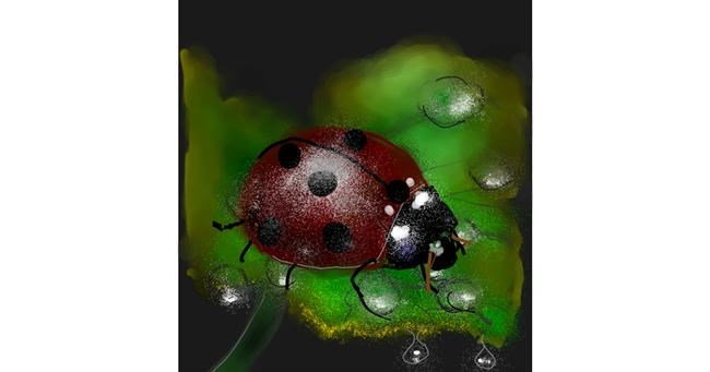 Bubamara - autor: Eclat de Lune