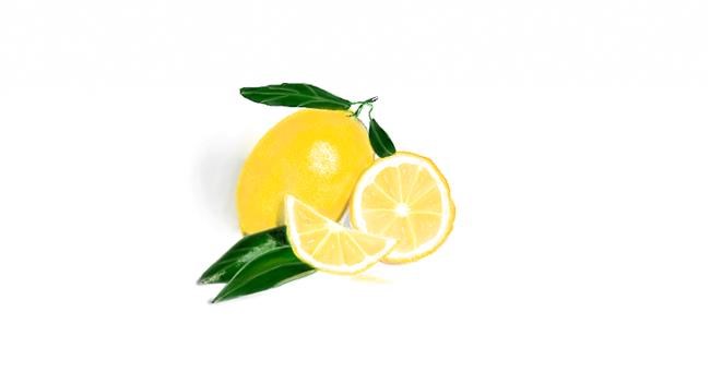 Drawing of Lemon by Chaching