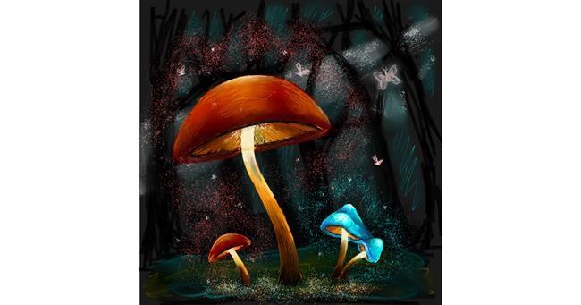 Drawing of Mushroom by Andromeda