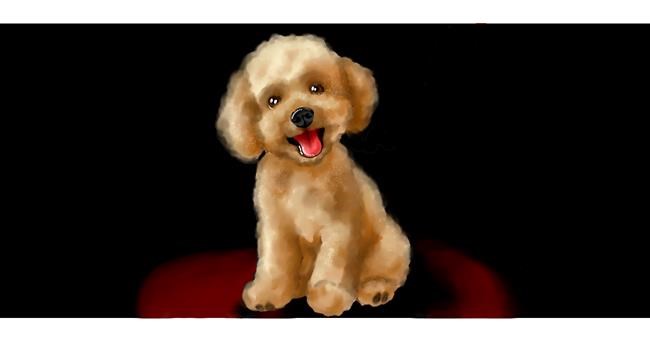 Pudlica - autor: Annie