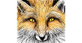 Drawing of Fox by Primrose