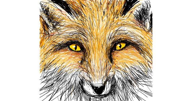 Drawing of Fox by Primrose