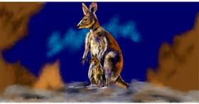 Drawing of Kangaroo by Eclat de Lune