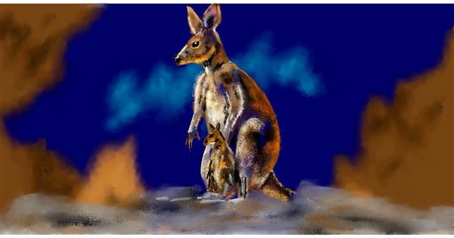 Drawing of Kangaroo by Eclat de Lune